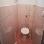 Appartement Krisztina *